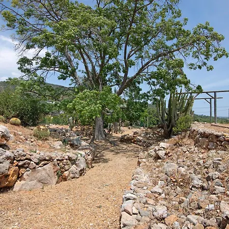 Holiday Medronhal Holiday home Faro